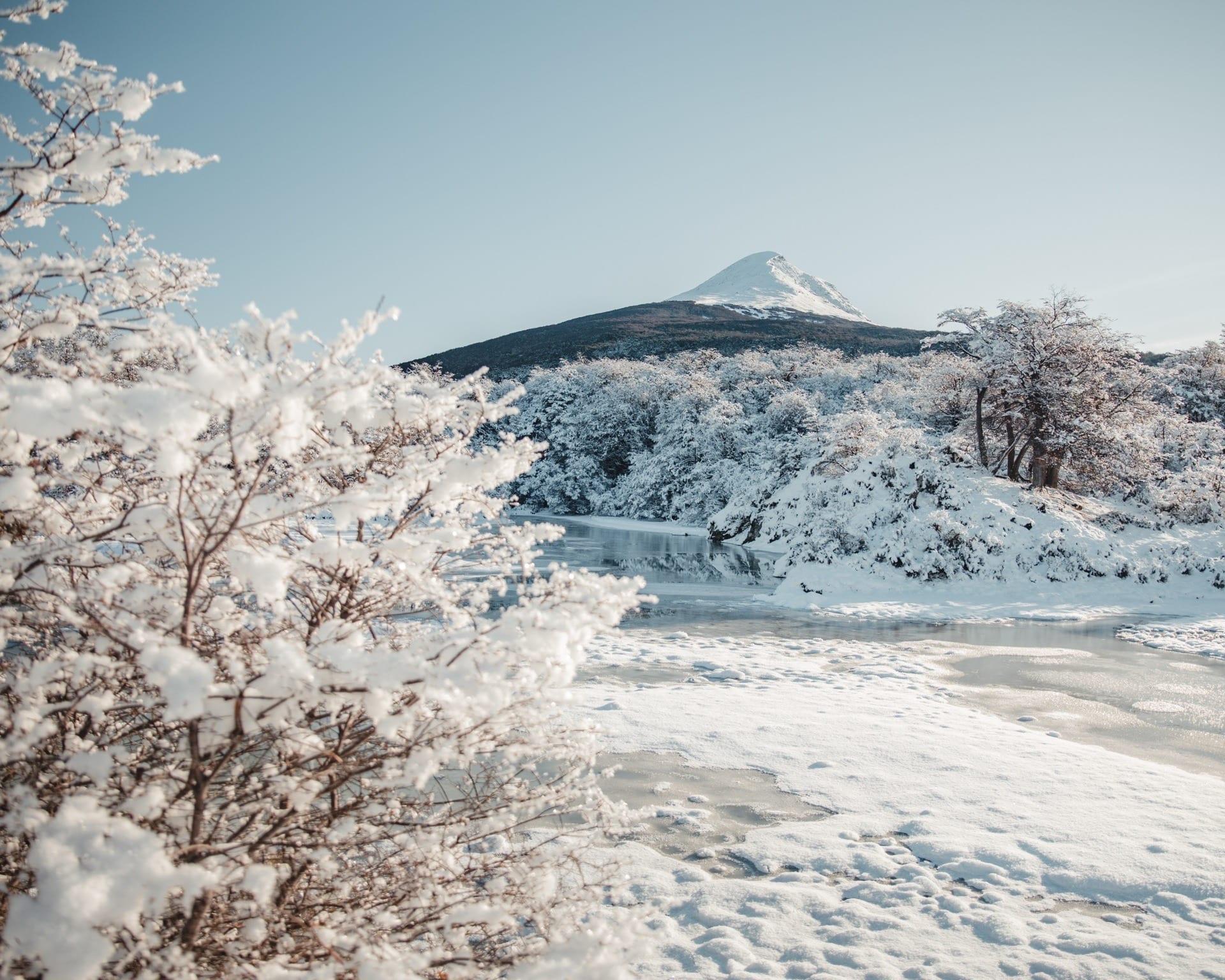 Winter